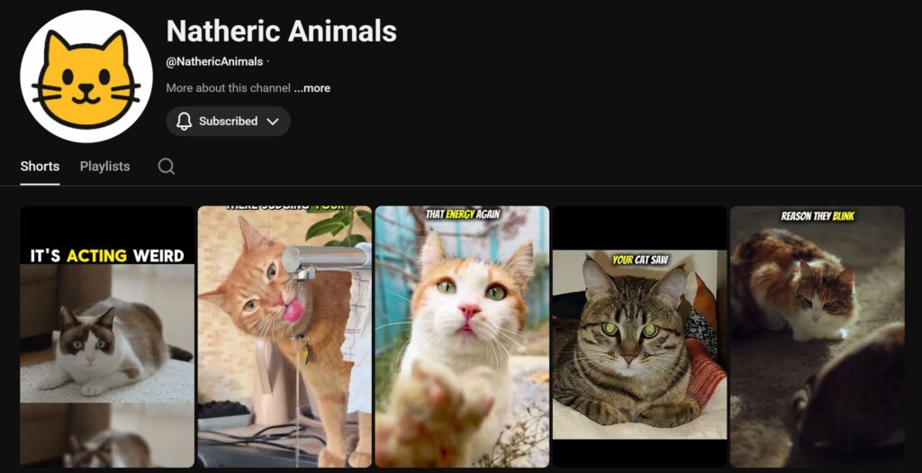 nathericanimals screenshot